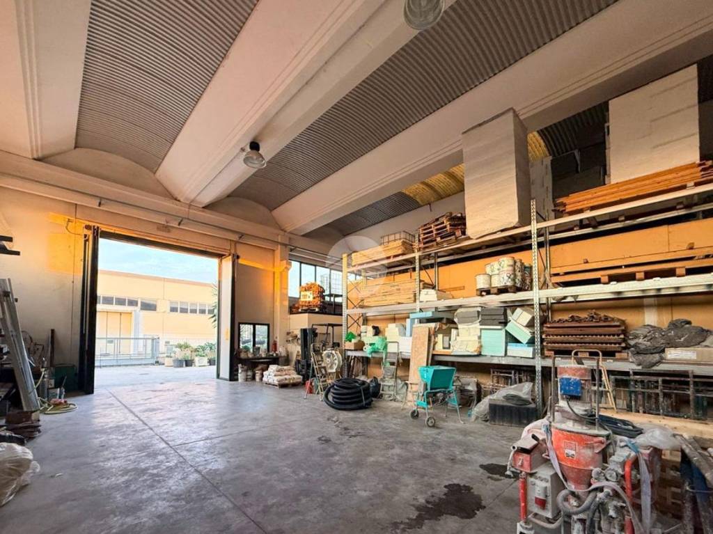 immagine annuncio 6 di 15