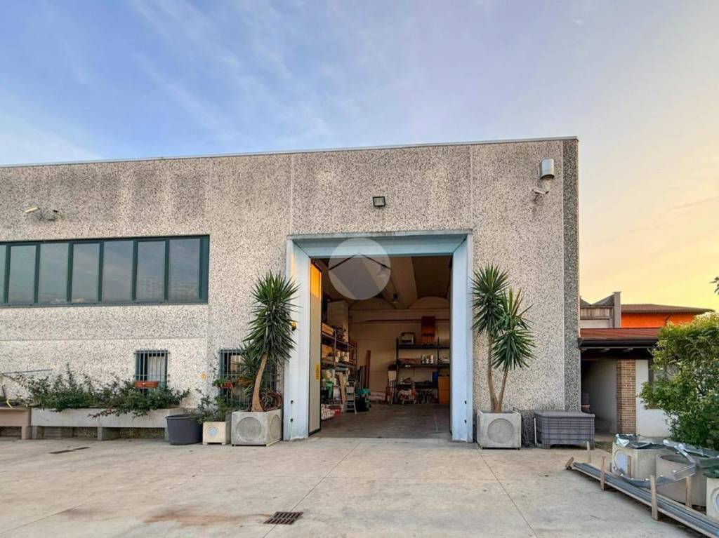 immagine annuncio 7 di 15