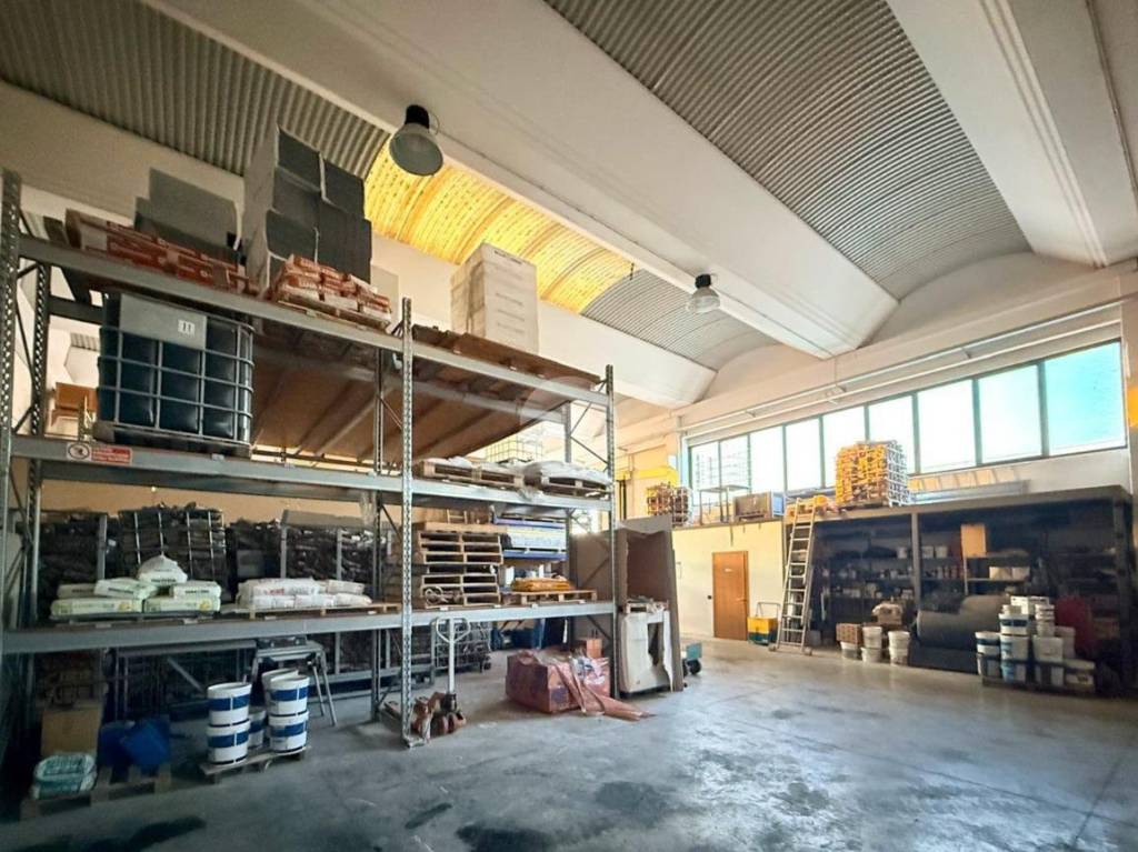 immagine annuncio 10 di 15