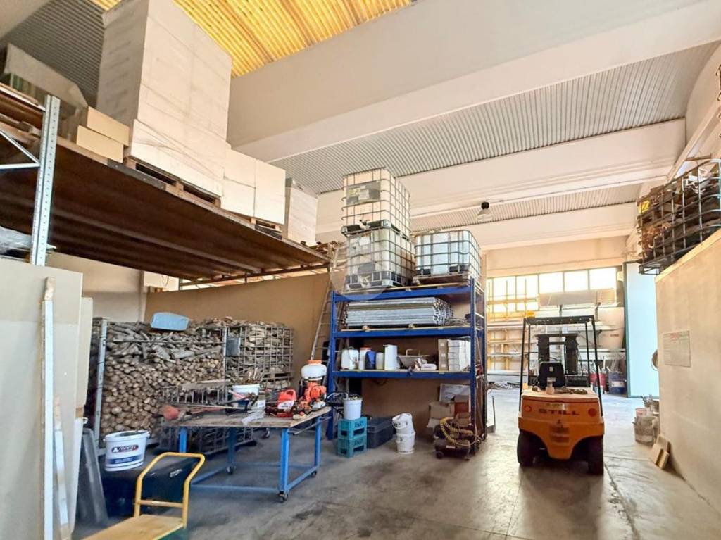 immagine annuncio 12 di 15