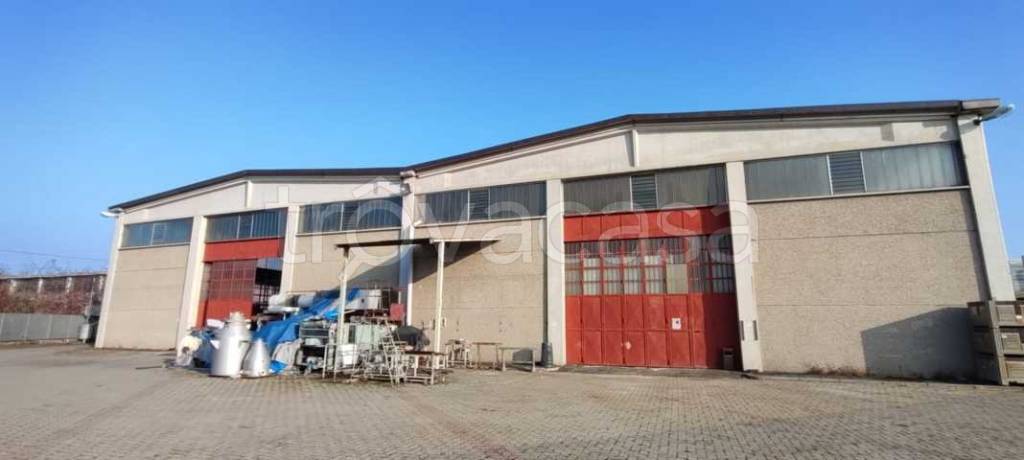 immagine annuncio 11 di 15