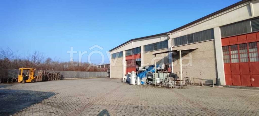 immagine annuncio 12 di 15