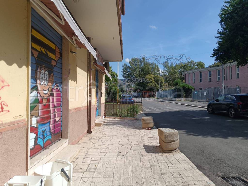 immagine annuncio 4 di 11