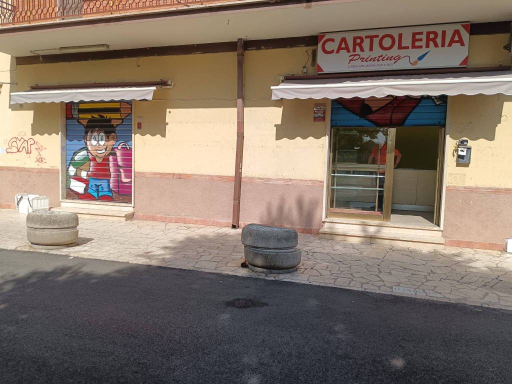 immagine annuncio 5 di 11