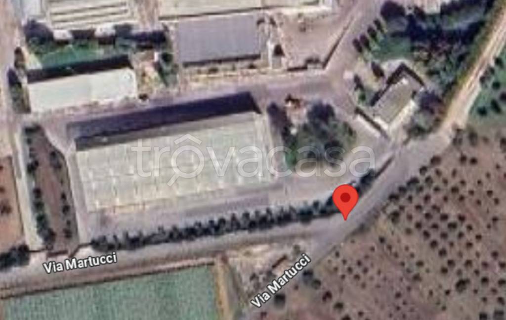 immagine annuncio 10 di 11