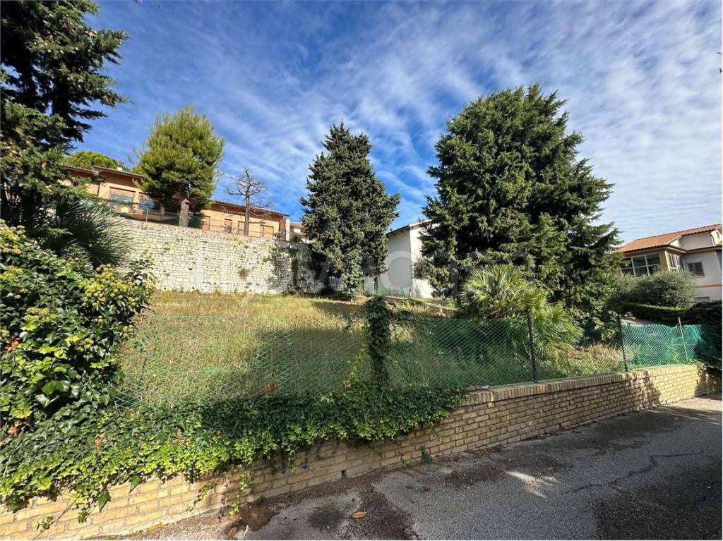 immagine annuncio 5 di 13