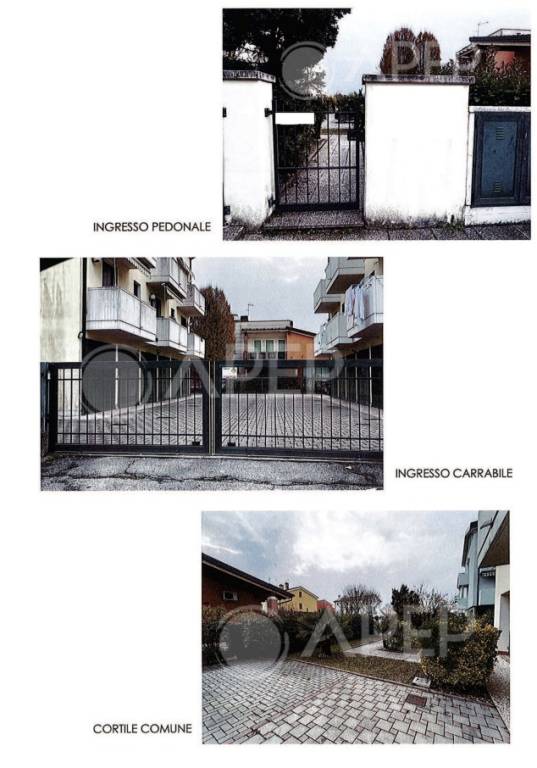 immagine annuncio 6 di 8