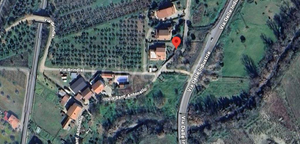 immagine annuncio 3 di 11