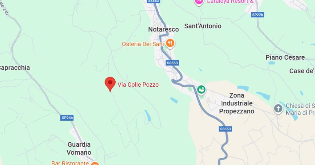 immagine annuncio 3 di 11
