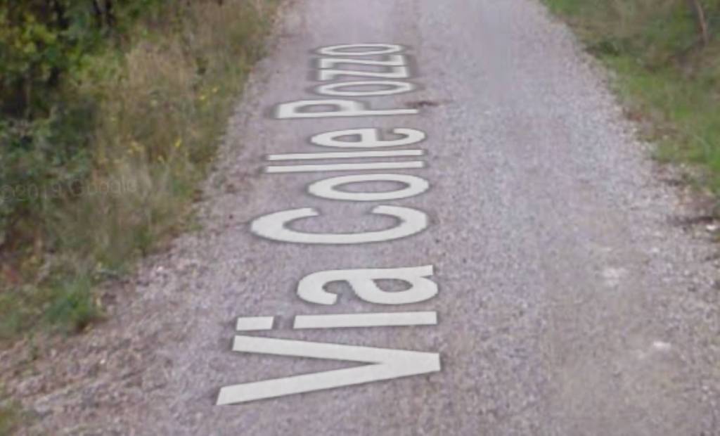 immagine annuncio 2 di 11