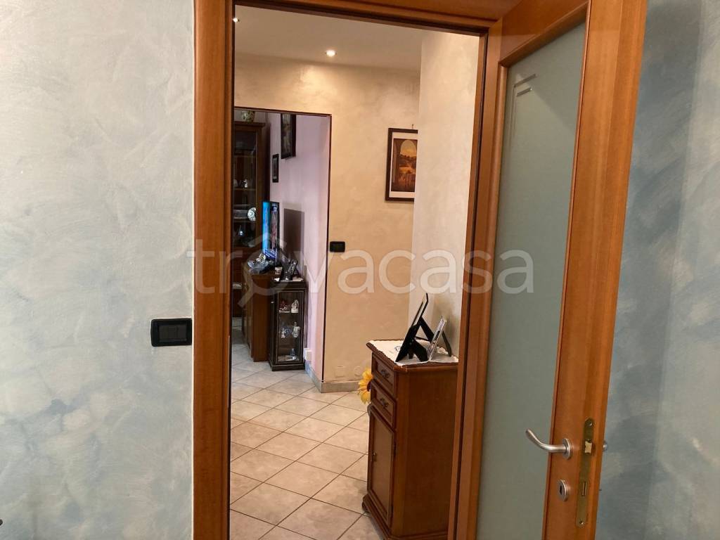 immagine annuncio 6 di 14