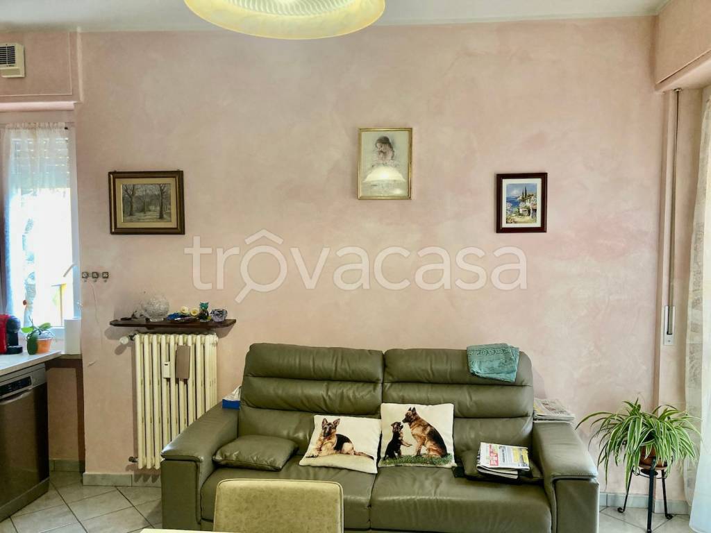 immagine annuncio 13 di 14