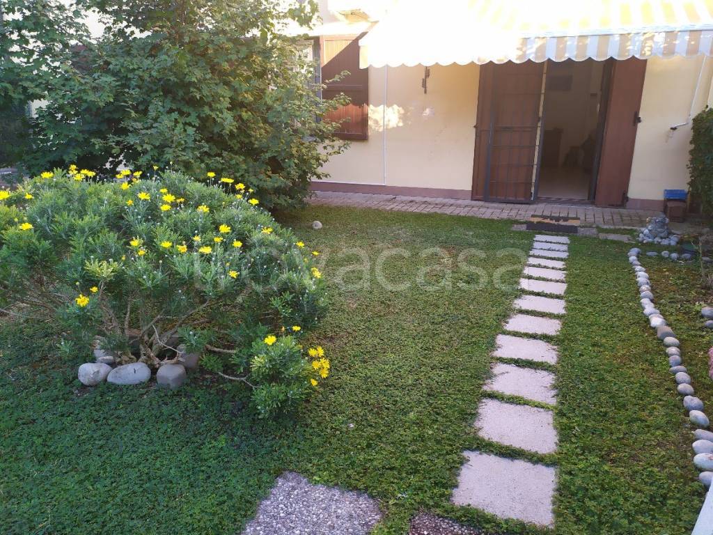 immagine annuncio 3 di 14