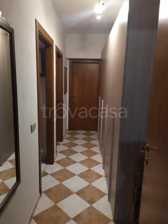 immagine annuncio 9 di 14