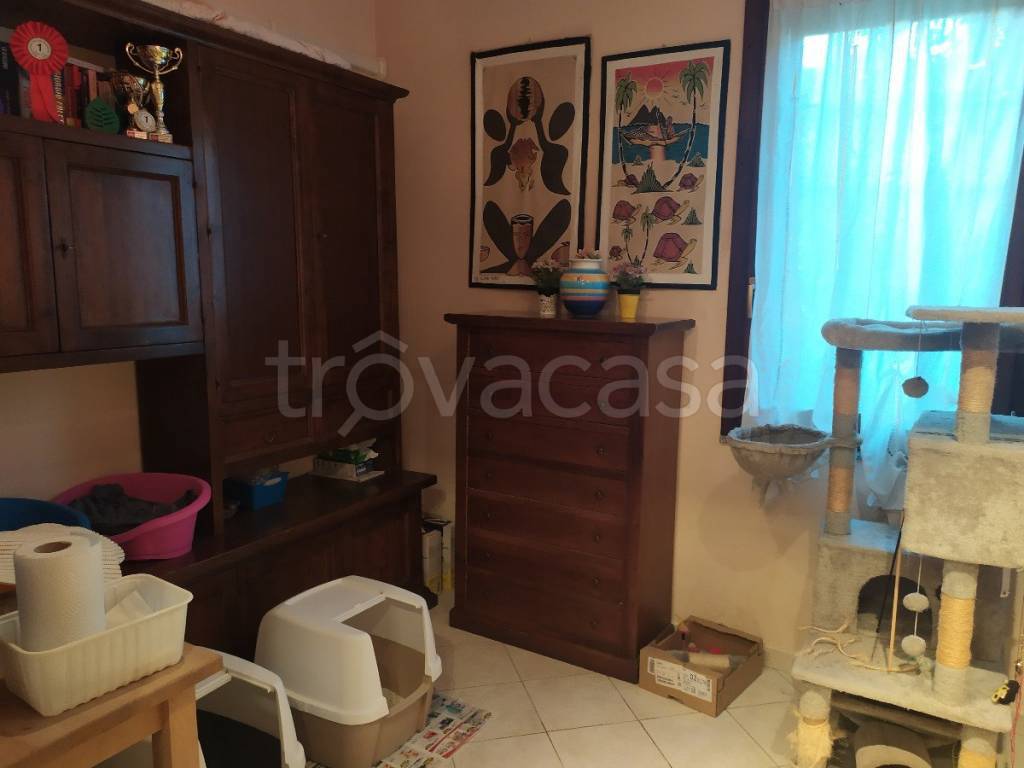 immagine annuncio 10 di 14