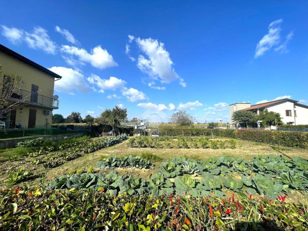 immagine annuncio 4 di 12