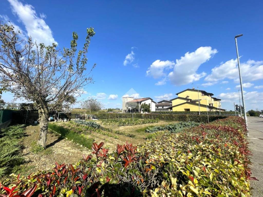 immagine annuncio 6 di 12