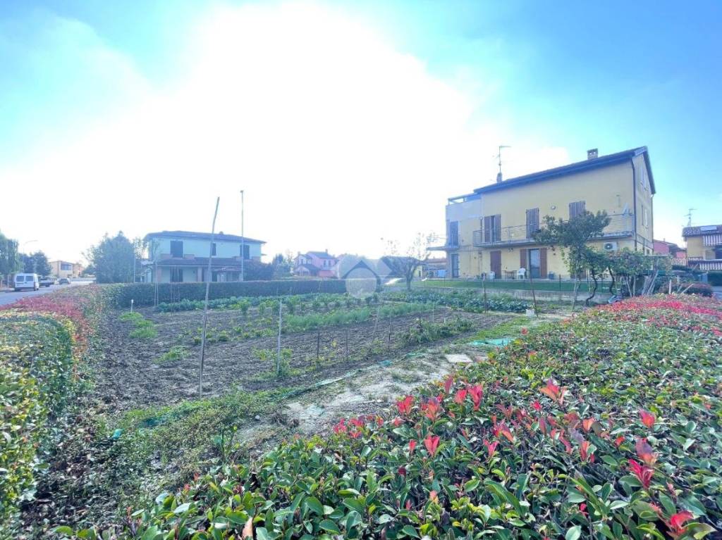 immagine annuncio 7 di 12