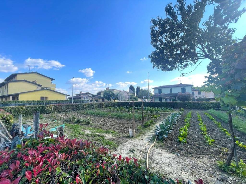 immagine annuncio 9 di 12