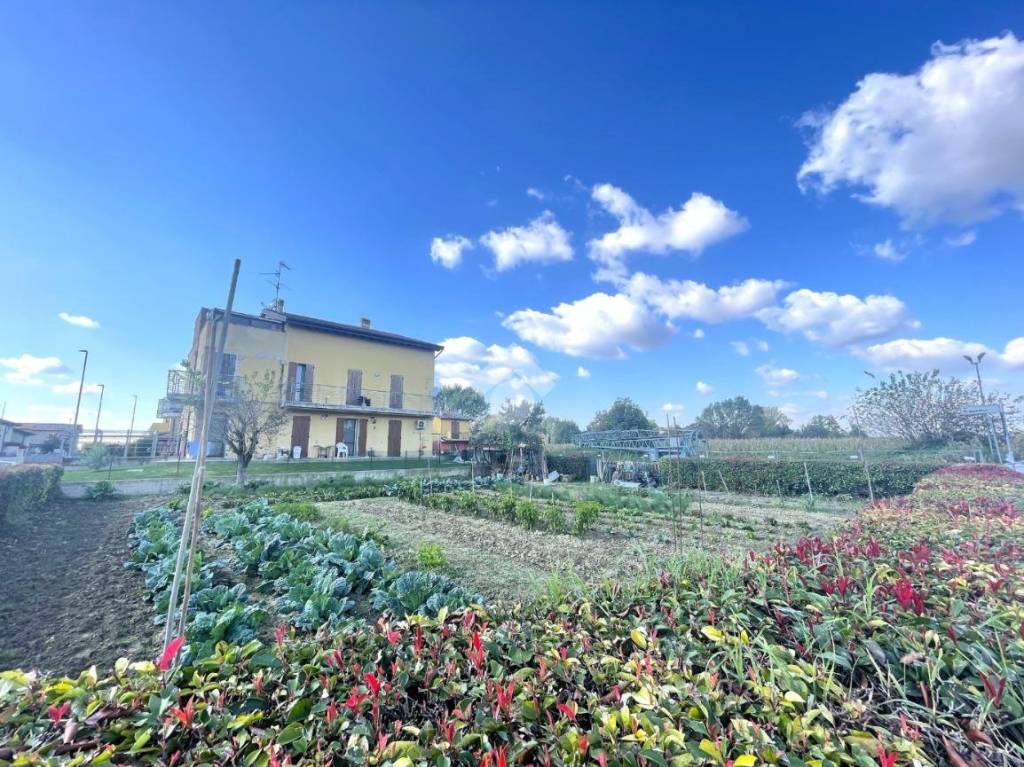 immagine annuncio 8 di 12