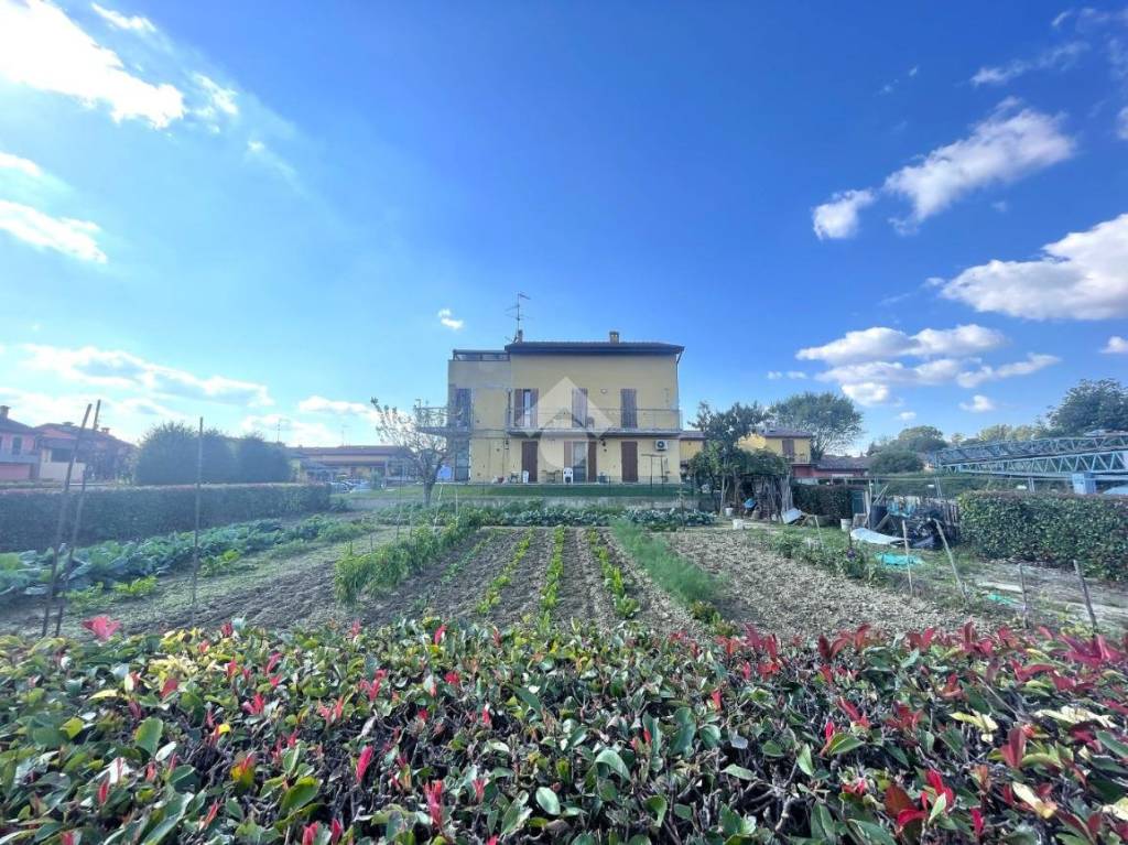 immagine annuncio 10 di 12