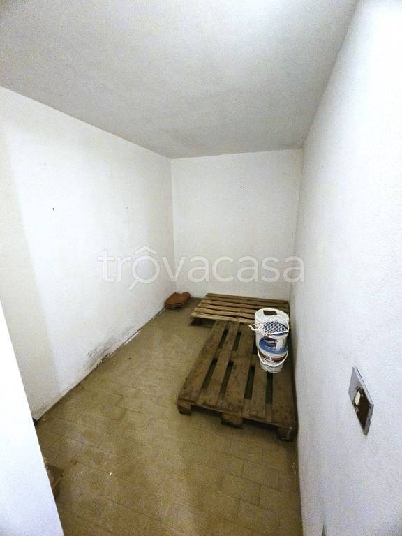 immagine annuncio 12 di 14