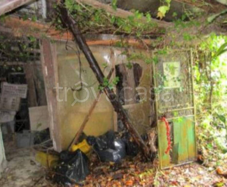 immagine annuncio 4 di 14