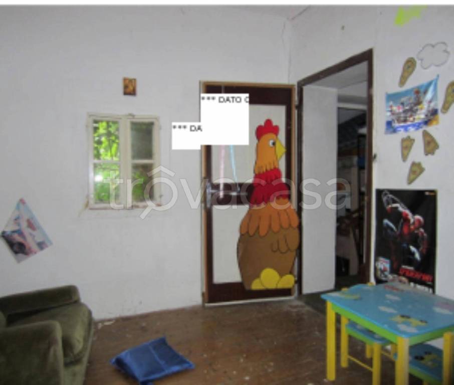 immagine annuncio 9 di 14