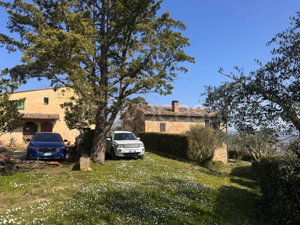 immagine annuncio 4 di 6