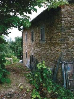 immagine annuncio 1 di 8