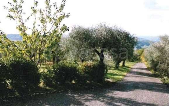 immagine annuncio 5 di 8
