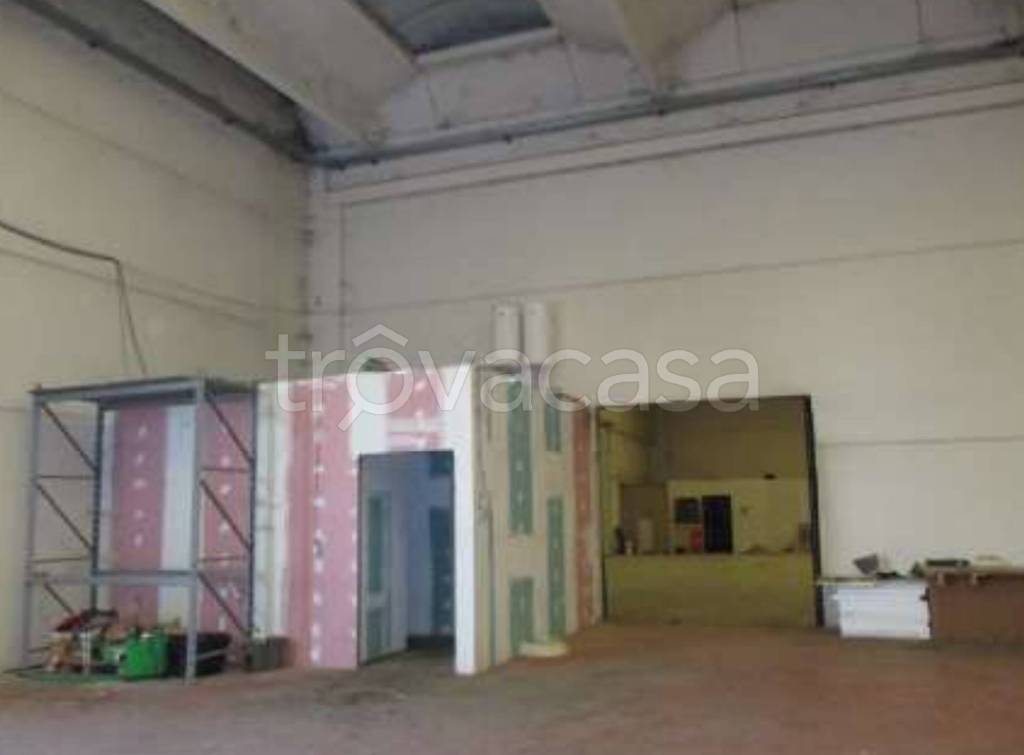 immagine annuncio 5 di 13