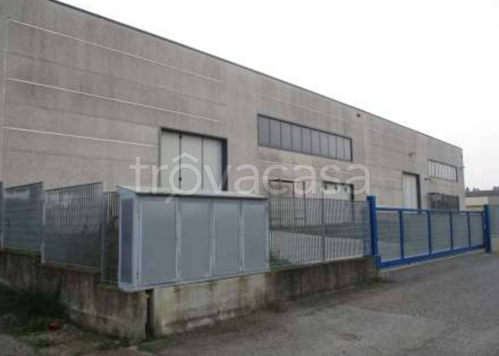 immagine annuncio 6 di 13