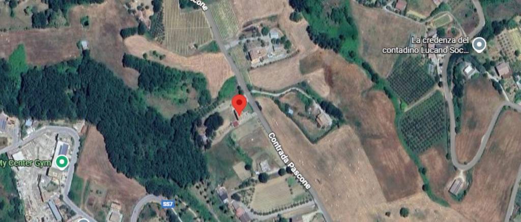 immagine annuncio 2 di 10