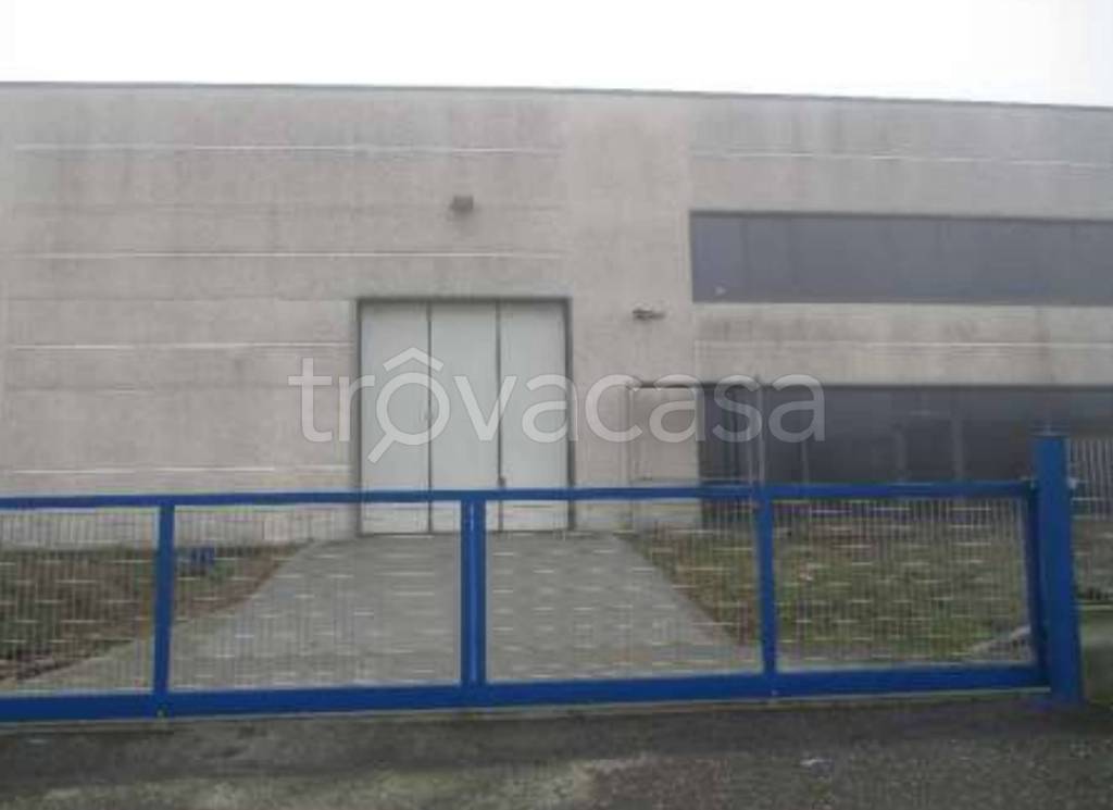 immagine annuncio 7 di 13