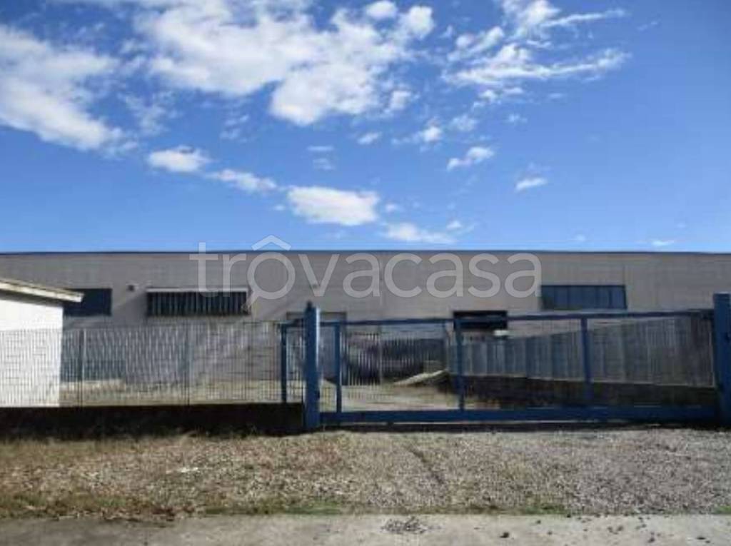 immagine annuncio 8 di 13