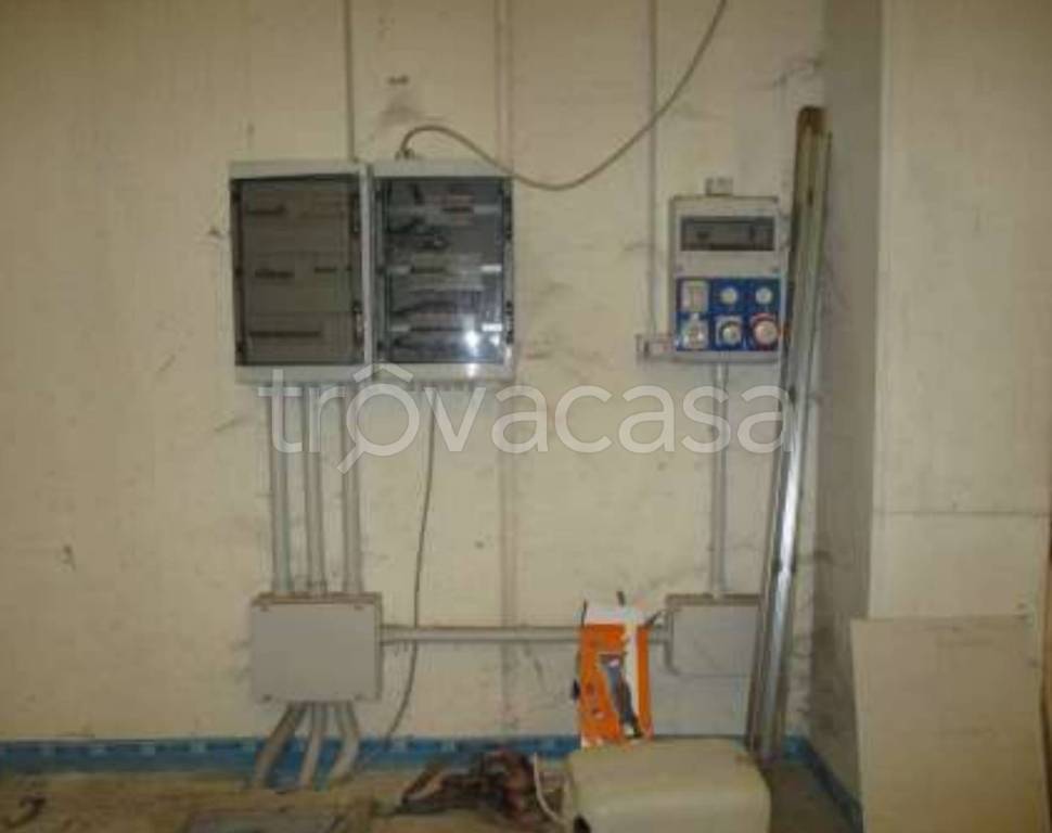 immagine annuncio 12 di 13