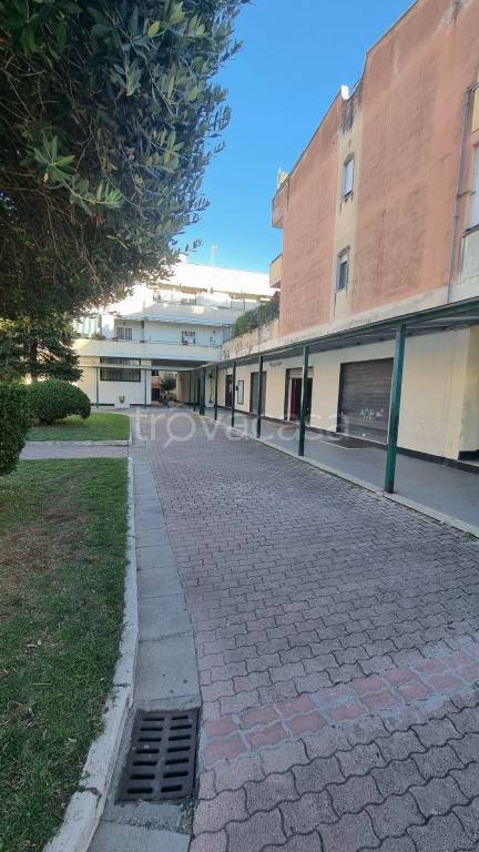 immagine annuncio 1 di 6