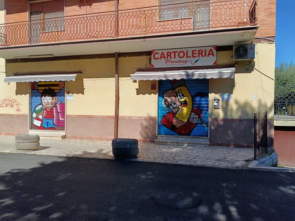 immagine annuncio 3 di 11