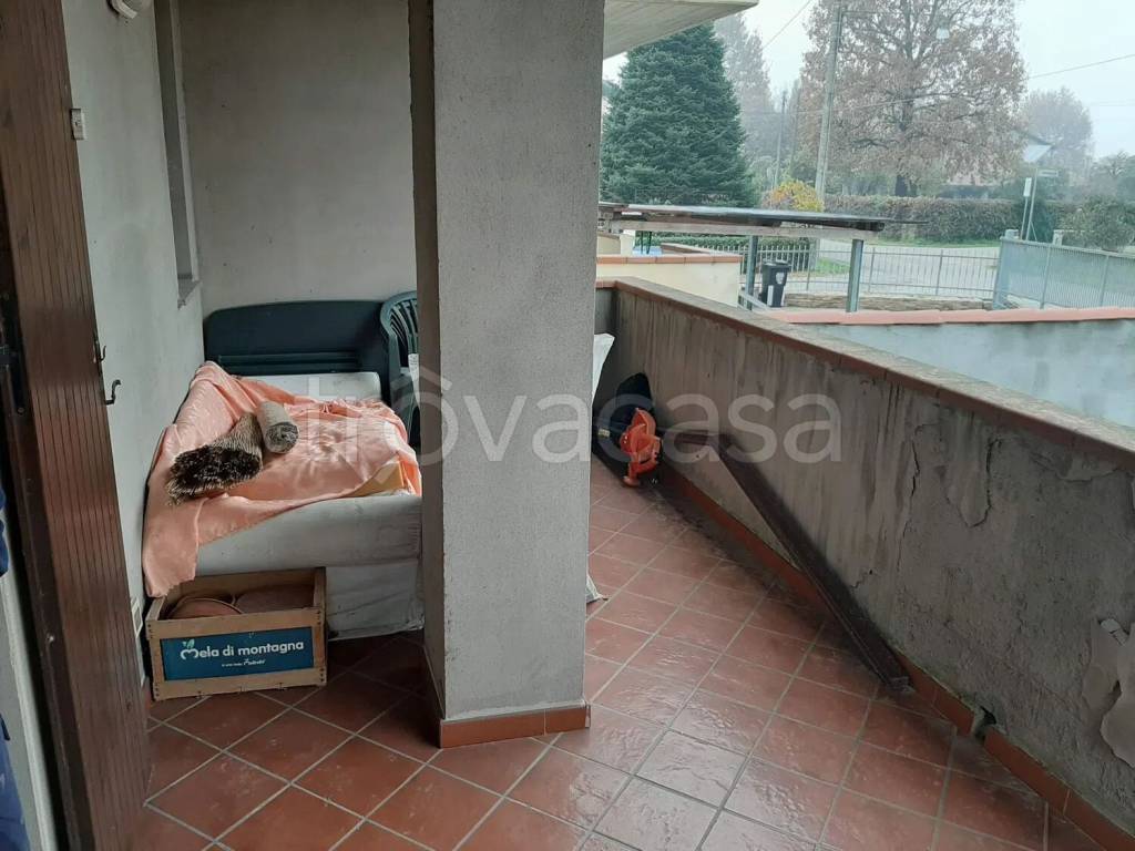 immagine annuncio 10 di 15