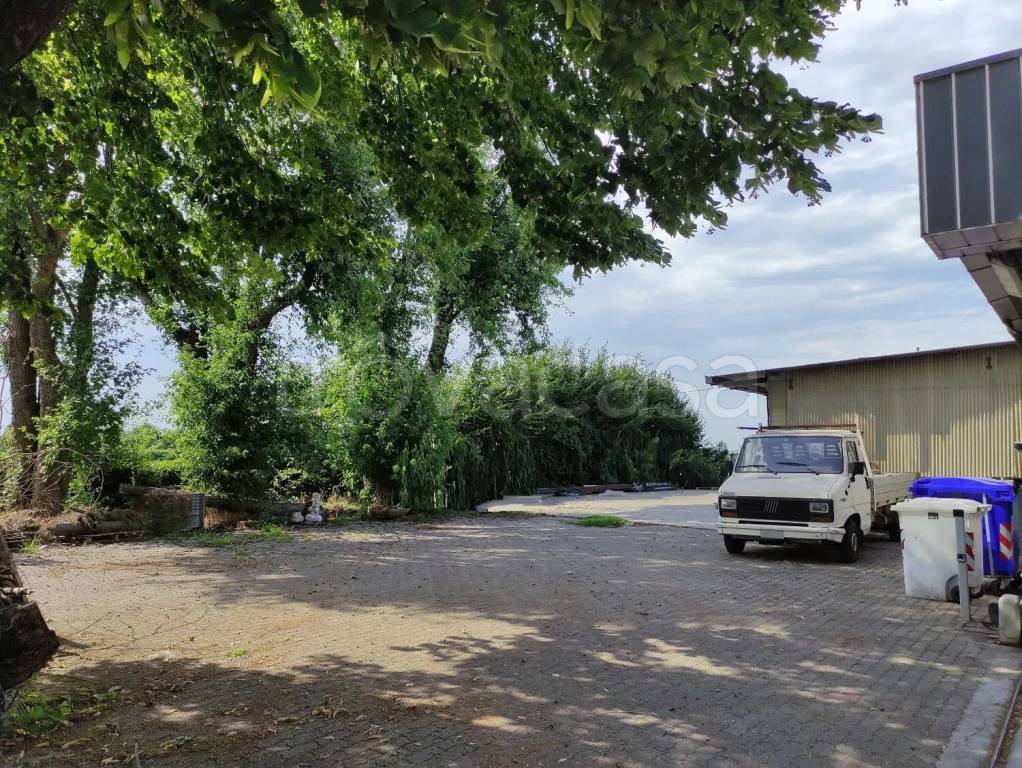 immagine annuncio 5 di 7