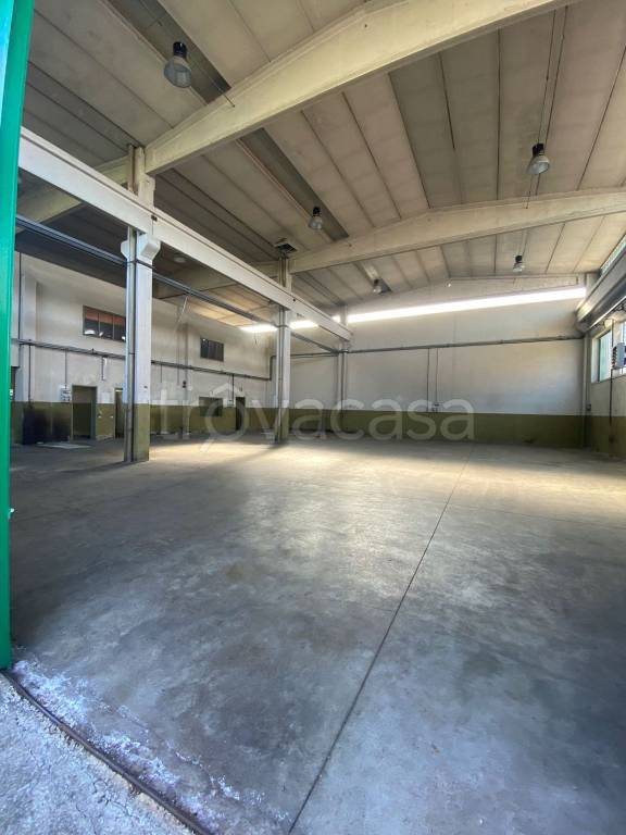 immagine annuncio 9 di 15