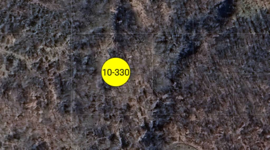 immagine annuncio 10 di 11