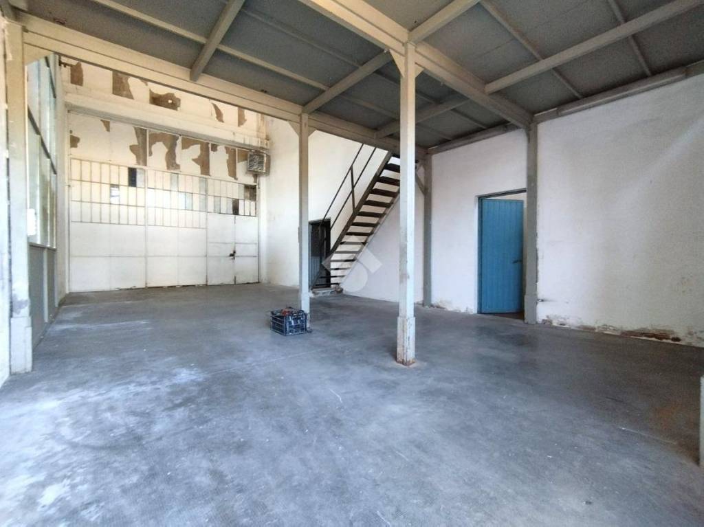 immagine annuncio 9 di 14