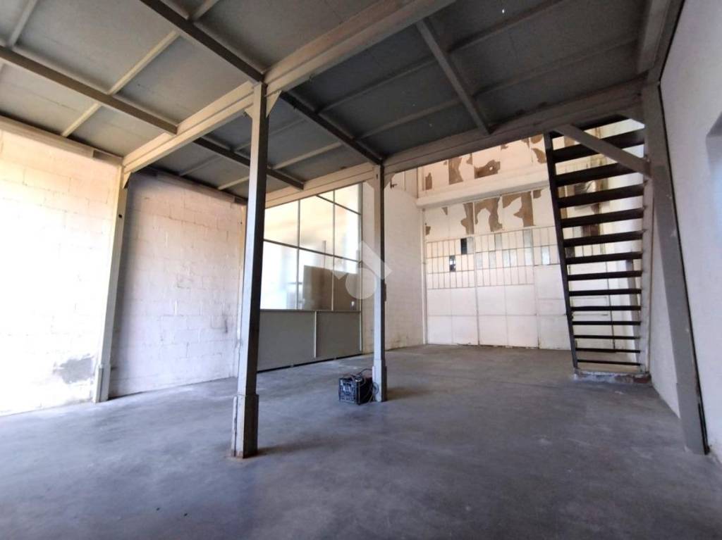 immagine annuncio 10 di 14