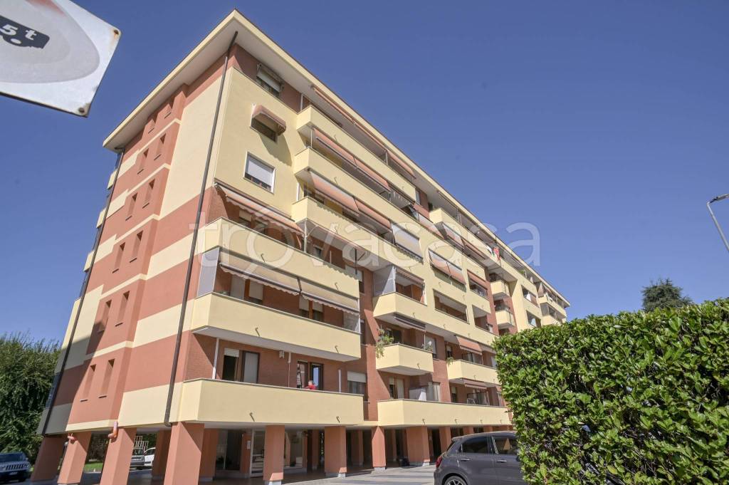immagine annuncio 12 di 15