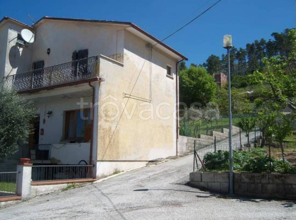 immagine annuncio 8 di 12