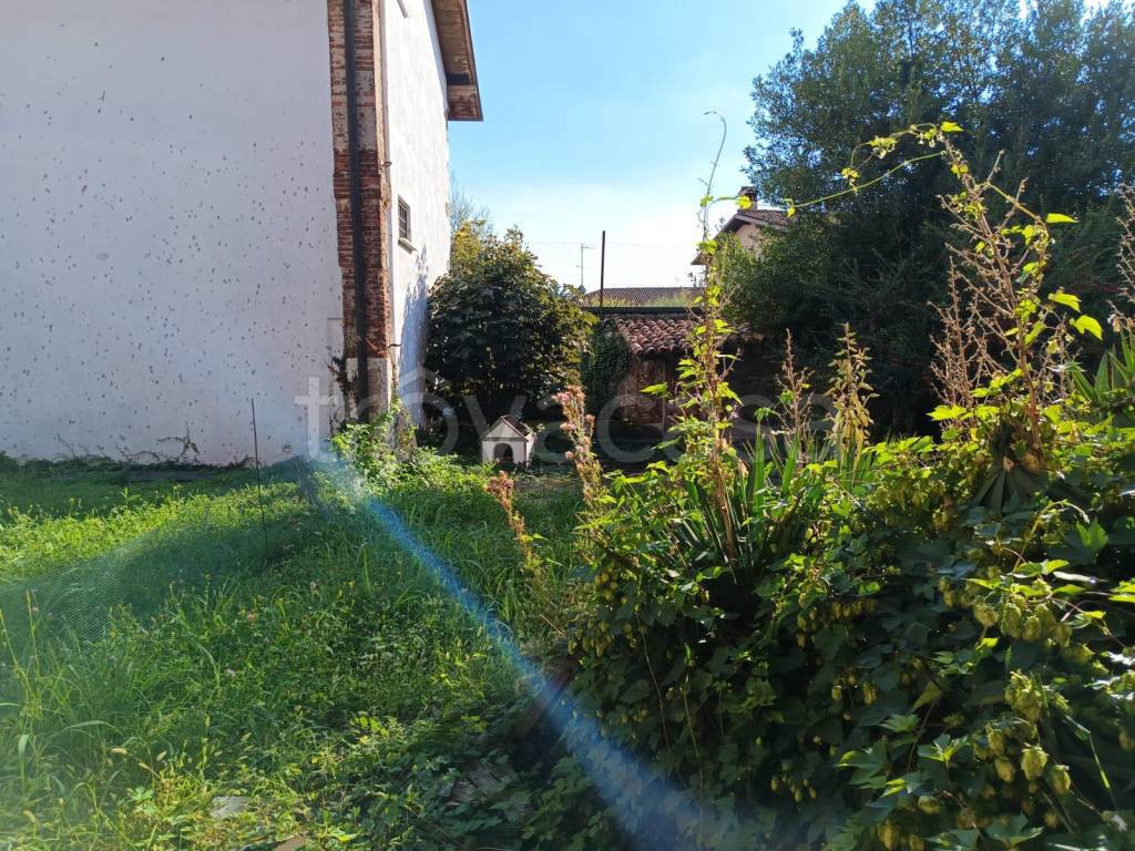 immagine annuncio 1 di 11