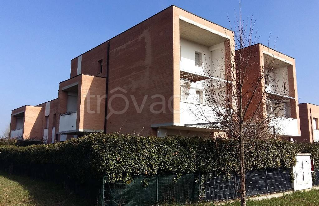 immagine annuncio 6 di 7