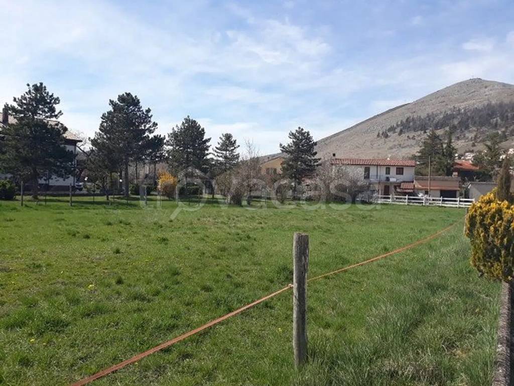 immagine annuncio 2 di 8